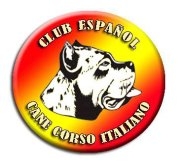 Rothorm Jy Dream - Club Espagnol Cane Corso